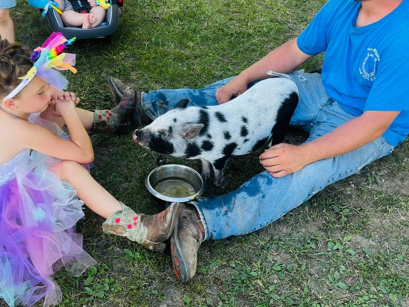 Private FUN Party On The Farm