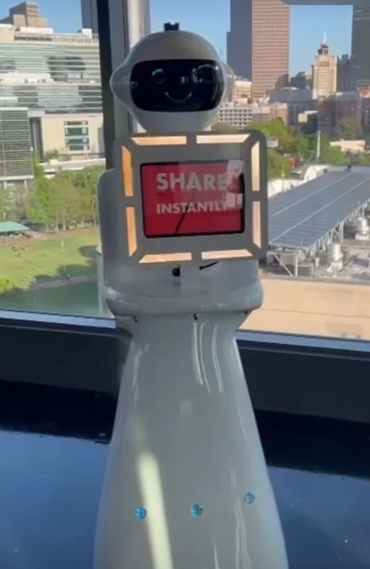 Roaming Robot 