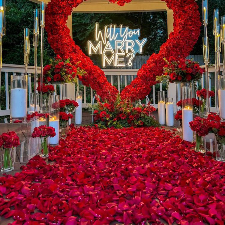 Rose 500 Petals