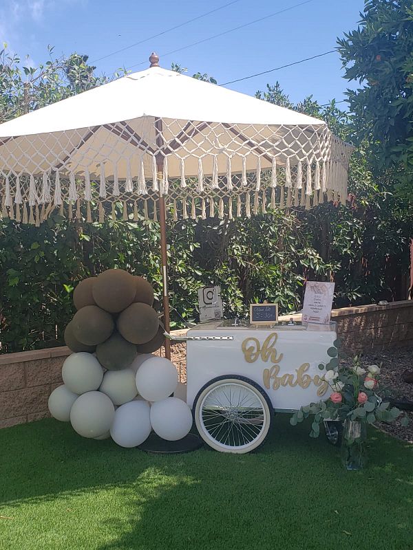 PALETA CLASSIC 