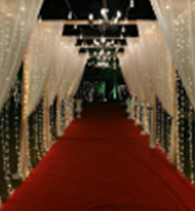 Red Carpet Experience
