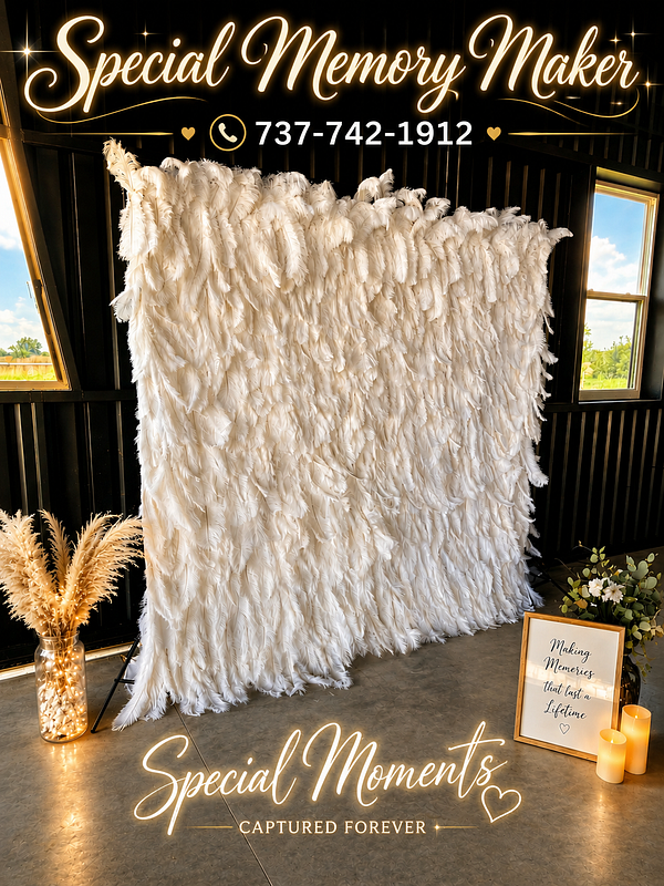 Luxe Feather Wall Experience 