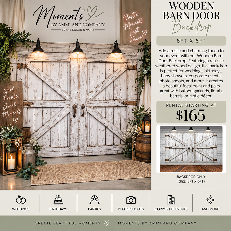 Rustic White Barn Door