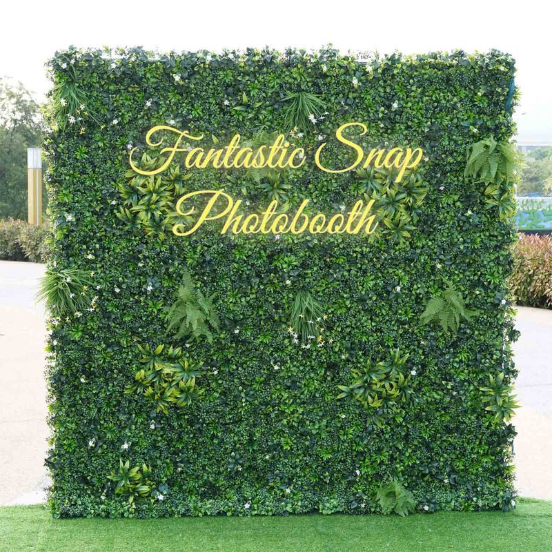 Lush Hedge Wall