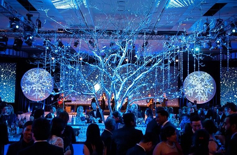 Gala / Banquet / Holiday Event