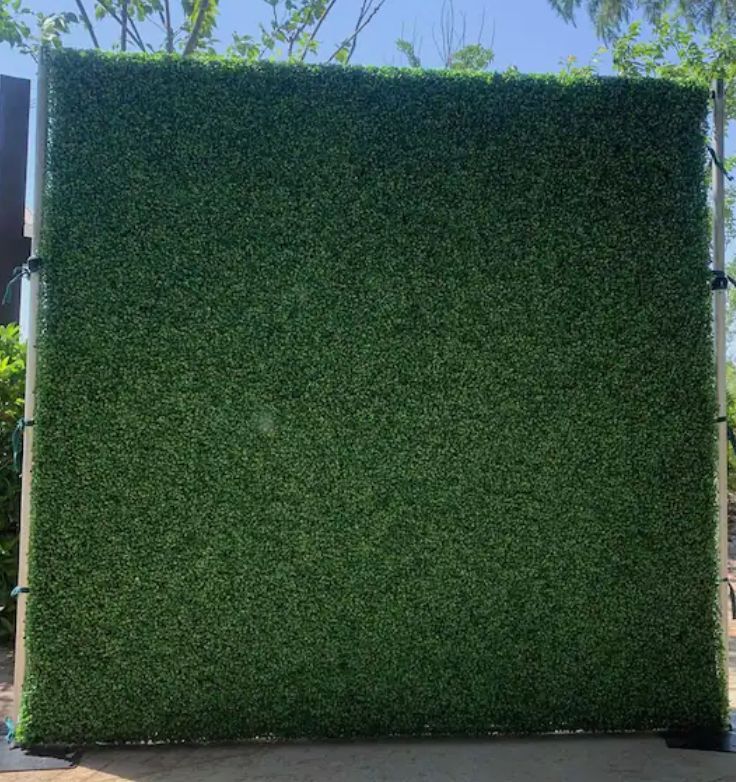 Boxwood Hedge Wall