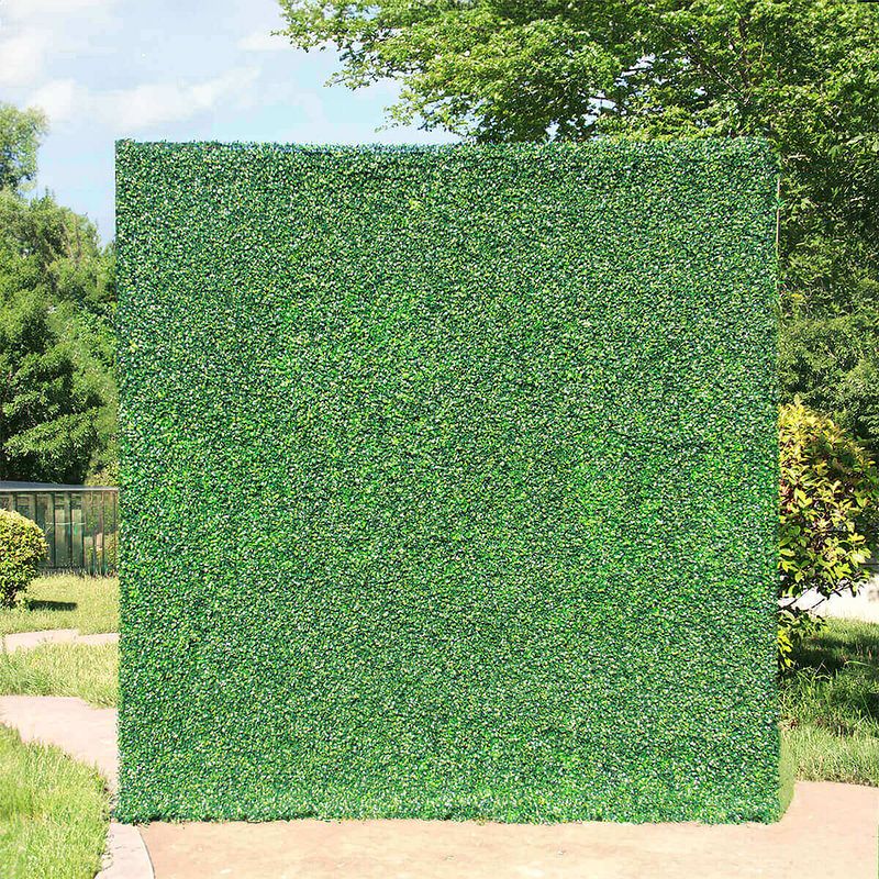 Green Hedge Wall Rental