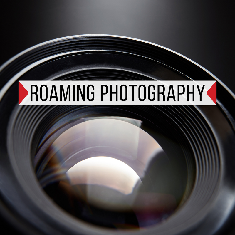 Roaming Photography