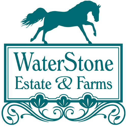 Water Stone Estate and Farms Wedding DJ Package