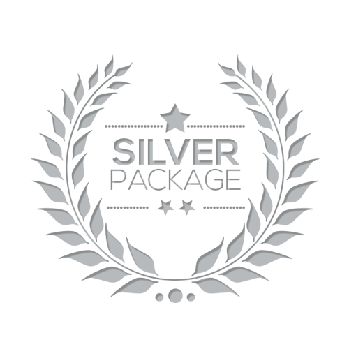 Party Silver Package 