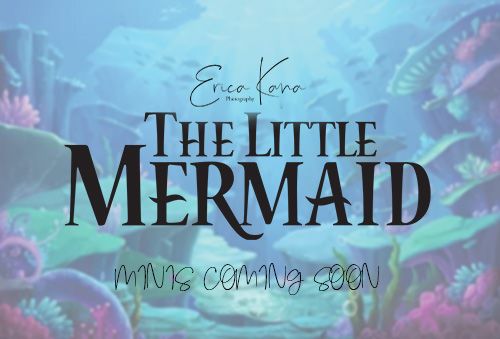LITTLE MERMAID MINIS 