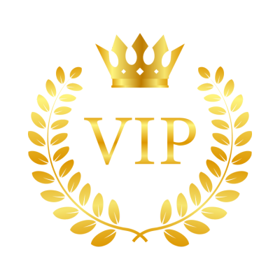 VIP Experience