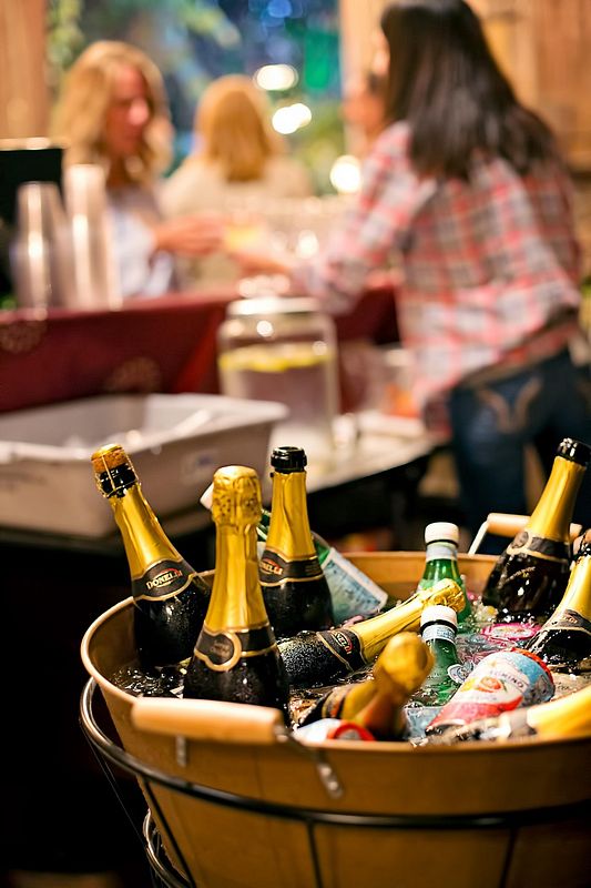Just the Acorn (Serving Beer/Seltzers & Wine)