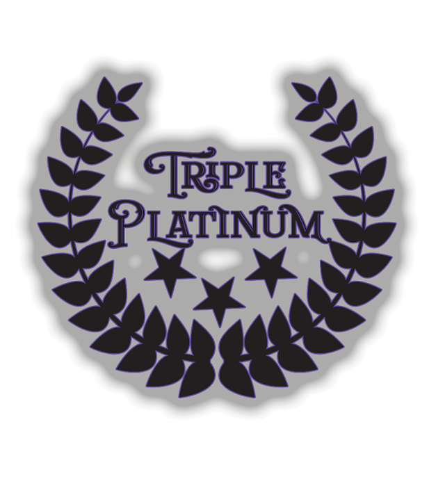 Wedding Triple Platinum Package