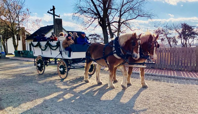 Two Horse Drawn 12-16 Passenger Carriage  