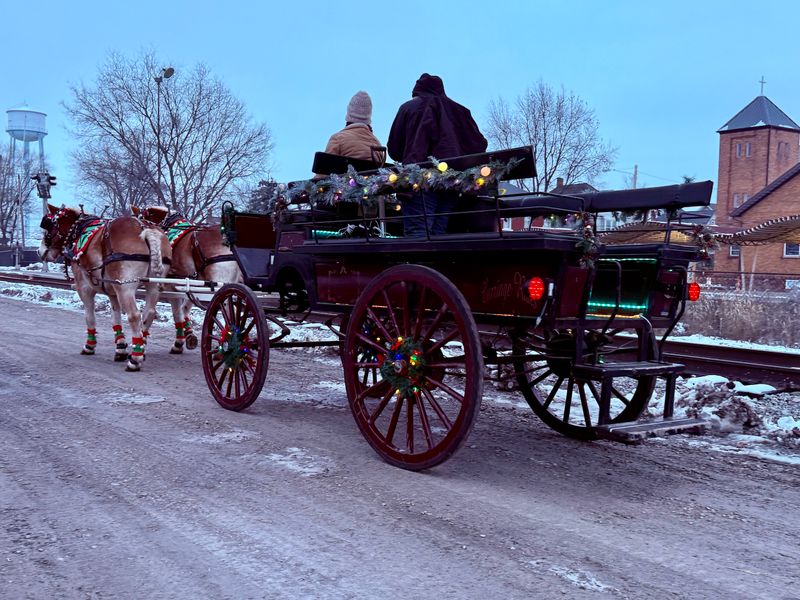 8 Passenger Wagonette / Carriage 
