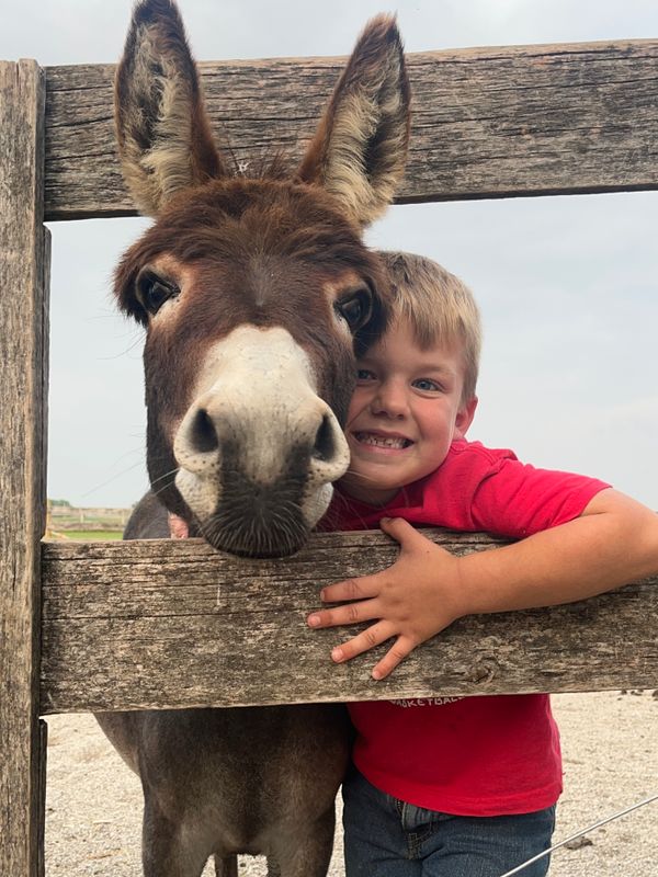 Fun Private Farm Tour