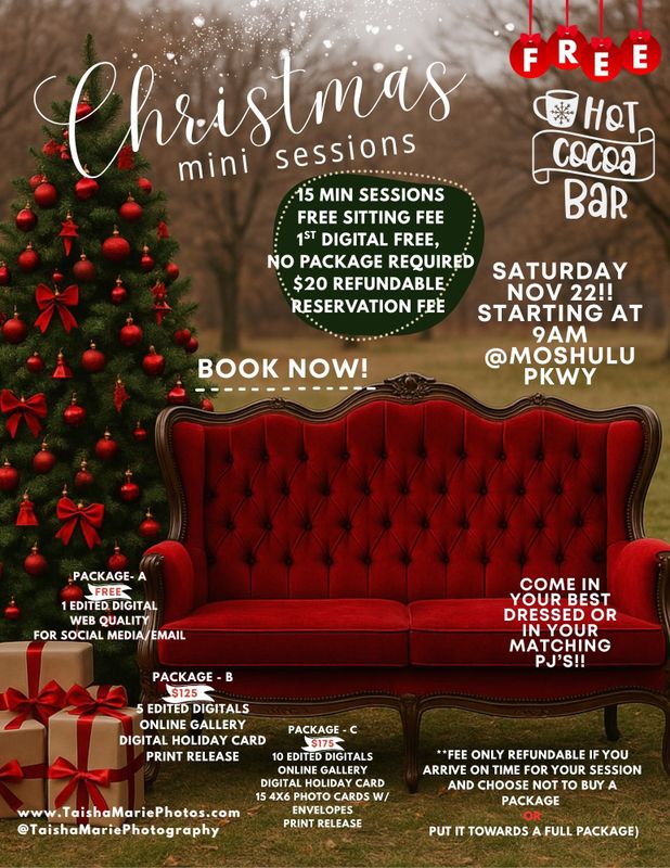 Christmas Mini Sessions