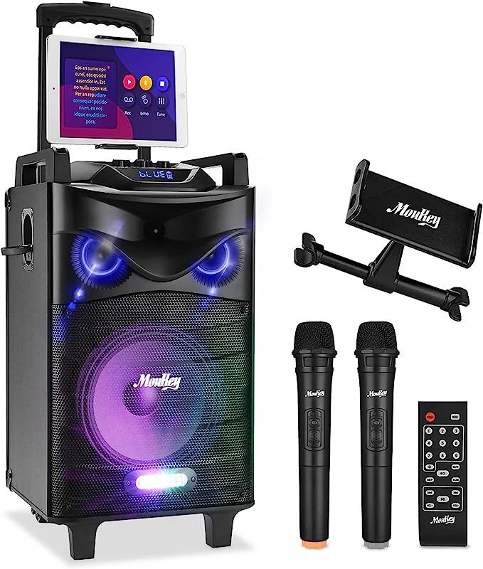 Small Karaoke/PA System