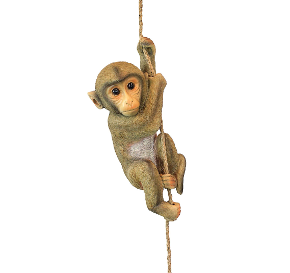 Hanging Monkey 