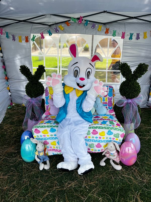 Easter Bunny